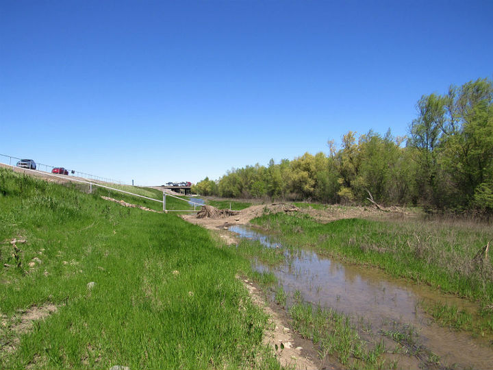 Yolo Wildlife Bypass